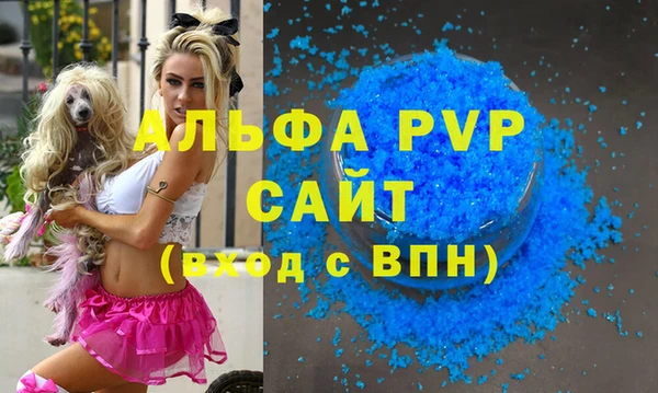 молекула духа Алексин