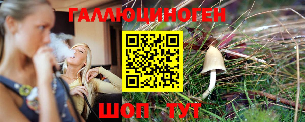 Новошахтинск  Галлюциногенные грибы GOLDEN TEACHER  Вход с VPN  Галлюциногенные грибы ЛСД 